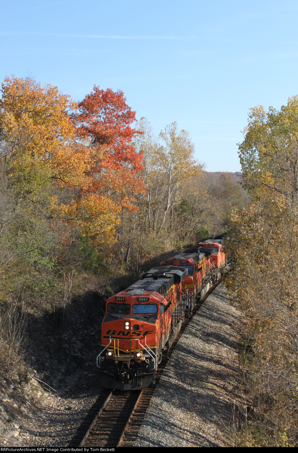 Fall color